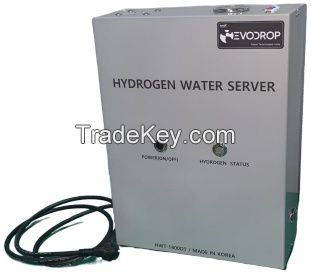 Hydrogen Water Ionizer
