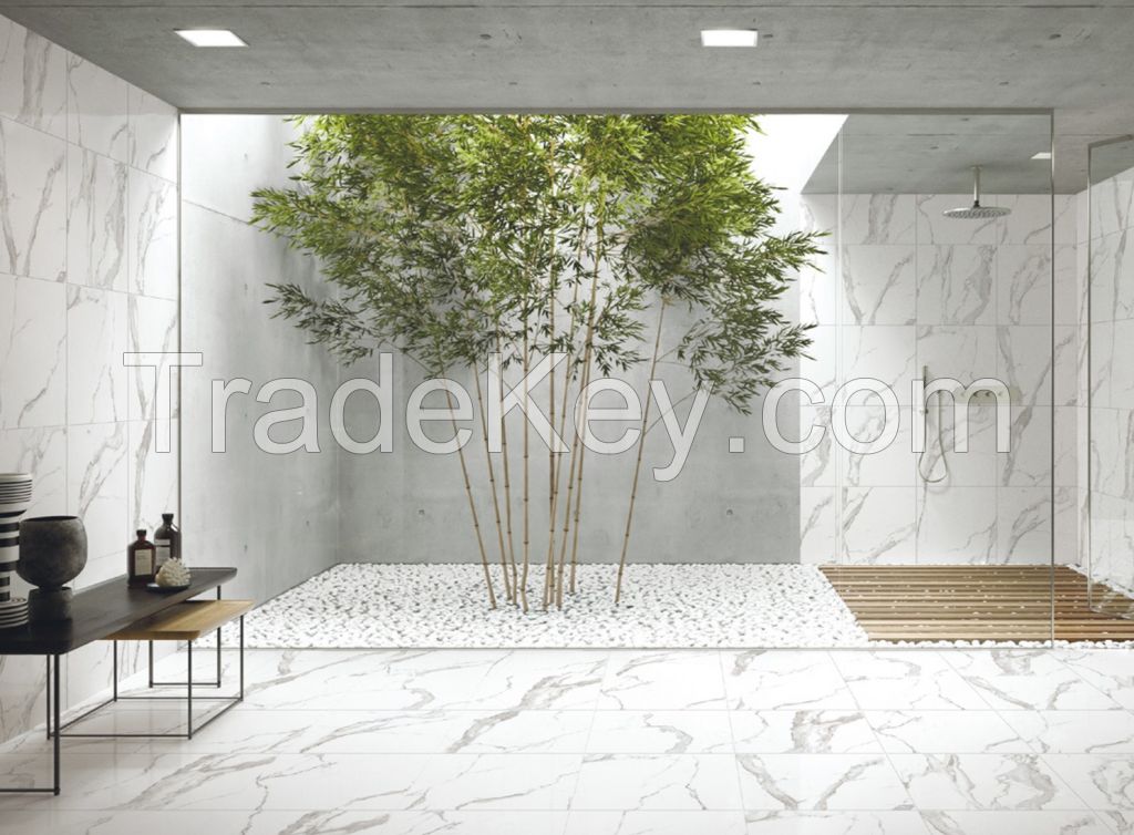 White carrara marble floor and wall tile