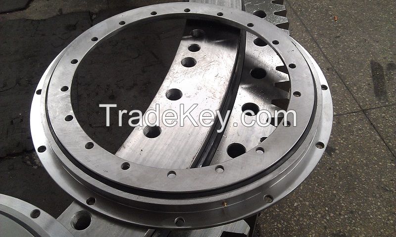 230.21.1075.013 slewing bearing