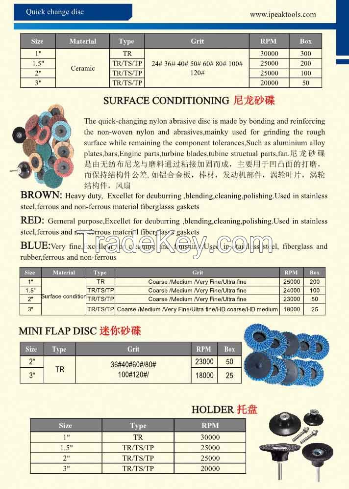 Surface Conditioning Sanding Disc with Rolco