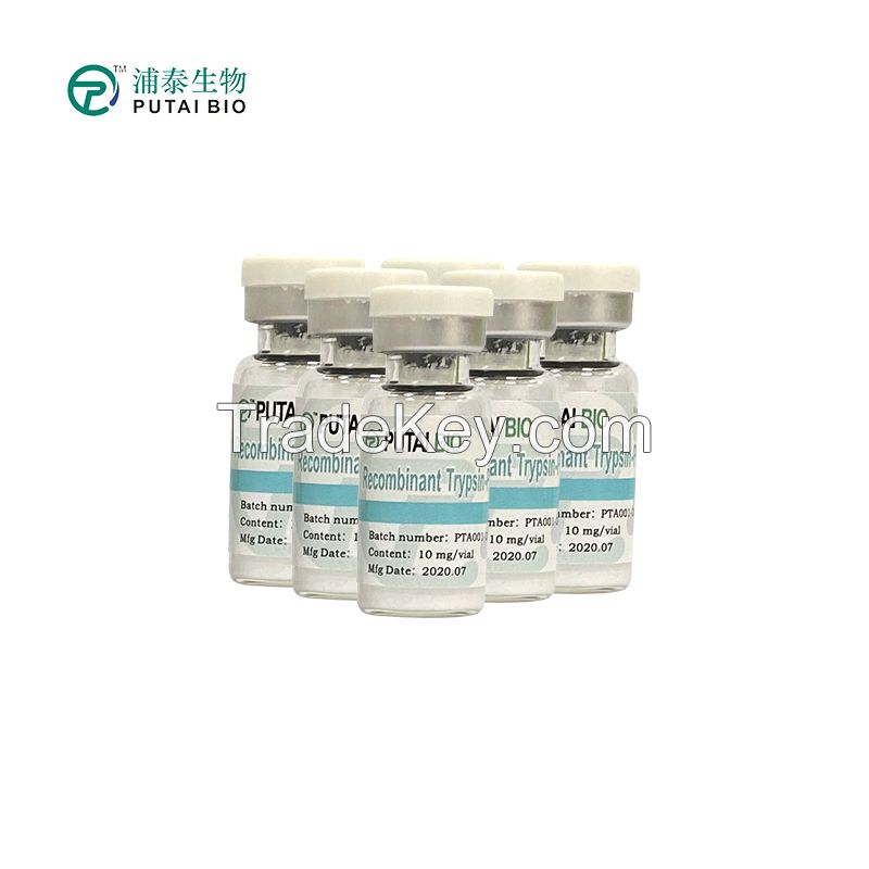 Recombinant Trypsin Pharmacopoeia grade(Freeze-dried powder)