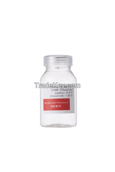 Recombinant Protein G high purity good stablity