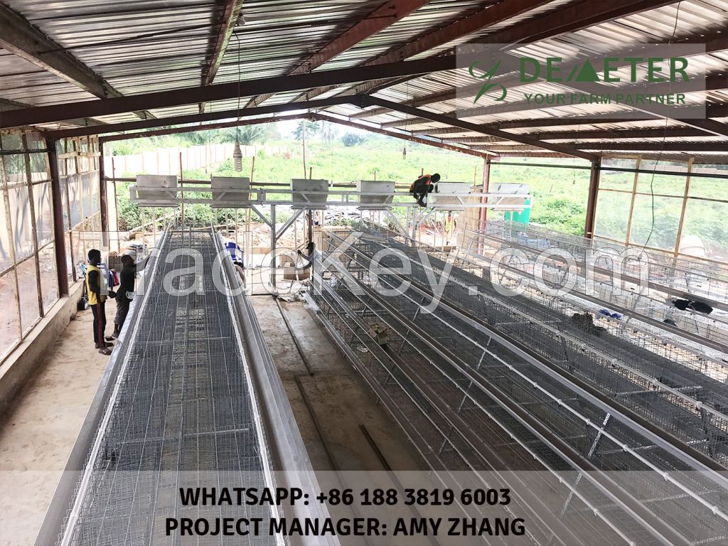 Layer chicken battery cage system