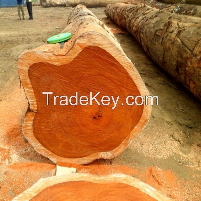 American hard Maple, northern hardwood sawn timber from America