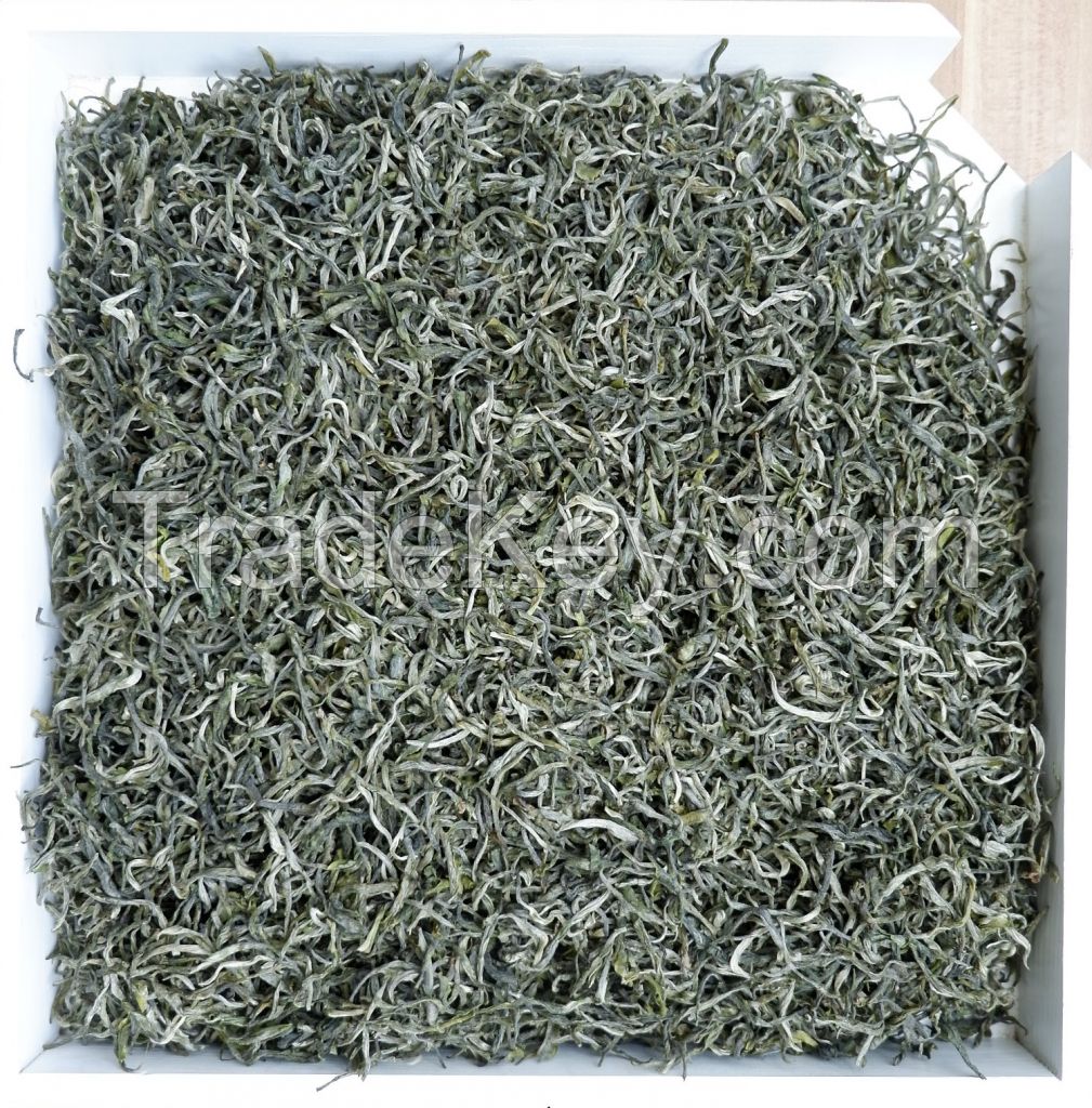 EU Organic Premium Tip Twisted Maofeng Green Tea