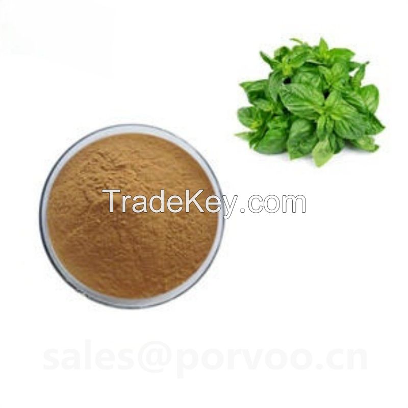 Natural high quality holy basil extract, Holy Basil Extract Anti-bacterial, Powdered Holy Basil Extract