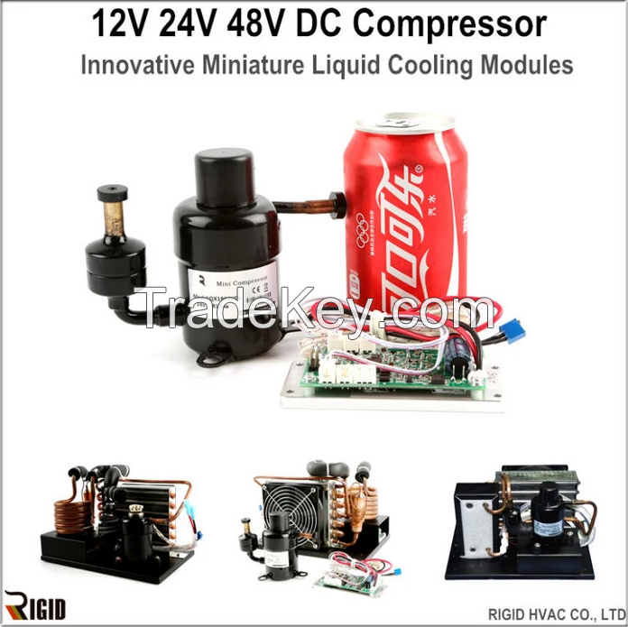 12V/24V/48V R134A Mini DC Compressor for Miniature Refrigeration and Aircon Systems