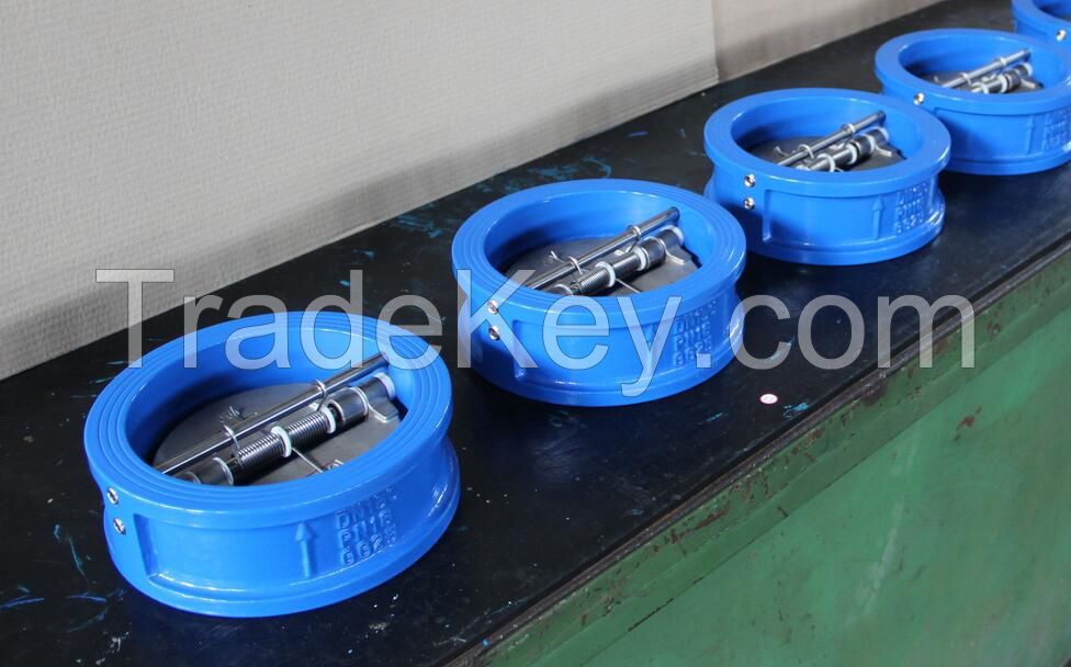 ci/di/bronze check valve