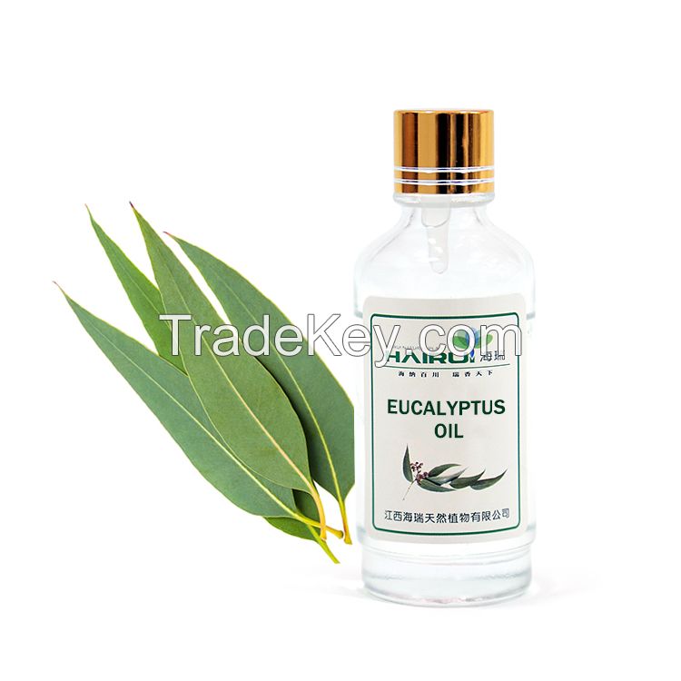 Pure Essential Oil of Eucalyptus 8000-48-4 Eucalyptus globulus Oil