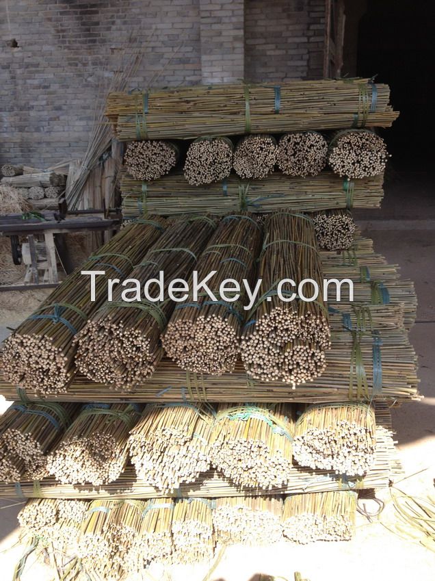 sell bamboo poles for agriculture