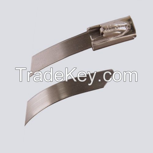 Stainless Steel Cable Ties