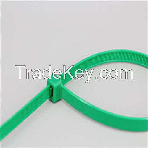 Self-Locking Nylon Cable Ties from  Wuhan MZ Electronic