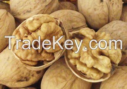 walnut kernel