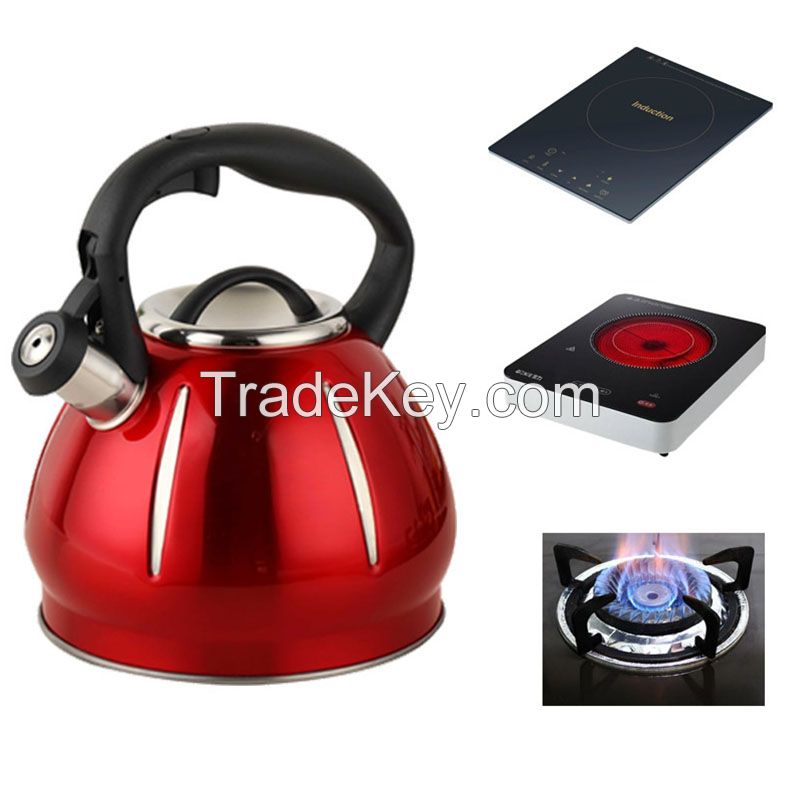 304 Stainless Steel Tea Kettle for Stovetop Teapot for Stovetops, Induction Loud Whistle Water Kettle Fast to Boil Boiler