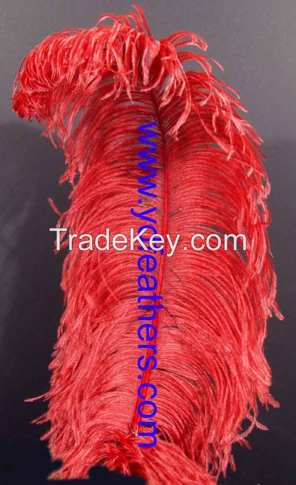 Sell Ostrich Feather/Plume from China