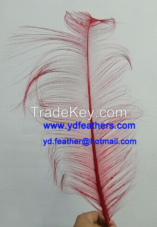 Sell Burnt Ostrich Feather/Plume Dyed Red from China
