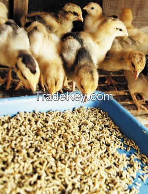 Dihydrate feed grade calcium sulfate in pet