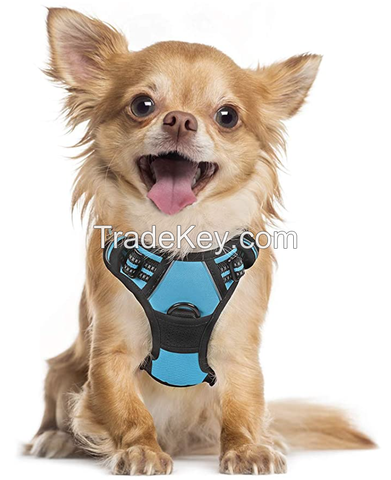 Dog Harness, No-Pull Pet Harness with 2 Leash Clips, Adjustable Soft Padded Dog Vest, Reflective No-Choke Pet Oxford Vest with Easy Control Handle for Small Dogs, Baby Blue, S