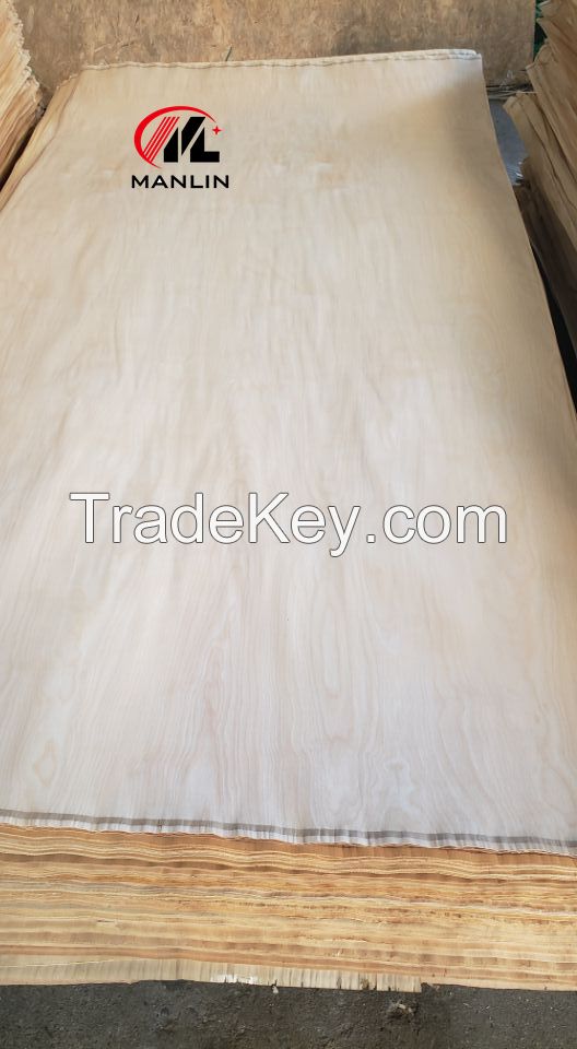 White Birch Veneer