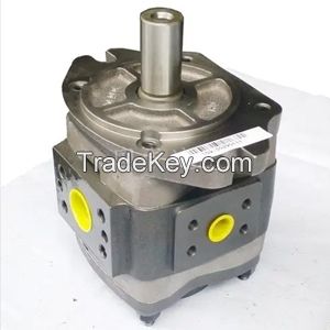 Voith Gear Pump