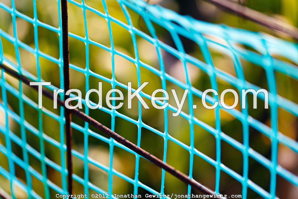 supply garden netting/bean climbing net/tree guard mesh
