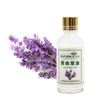 best price and hot selling Lavender oil essential oil