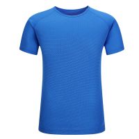 High quality wholesale womens o-neck dry fit T shirt quick dry sport shirt