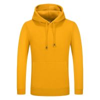 China OEM blank custom logo unisex hoody solid fleece pullover hoodie sweat shirt hoodies