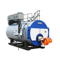 Gas and Diesel Fired Steam Boilers Hot Water Boiler for Heating Greenhouse