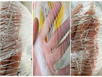 HDPE Plastic Anti Bird Net, Birding Netting Protection Fruits Trees with UV Treatment