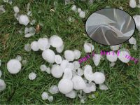 Best sale transparent anti-hail net for plants