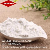China Supply Best Quality Sodium Erythorbate CAS: 6381-77-7