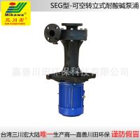 Sell Vertical pump SEG5012/5022/5032/6522/6532/6552/7572/75102/100152 FRPP