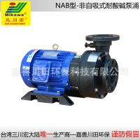 Sell Non self-priming pump NAB6552/7552/7572/75102/100102 FRPP
