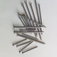 Common Iron Wire Nails