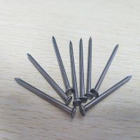 Factory Supply Cheap Price Common Iron Nails