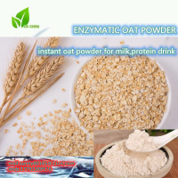 Instant Avena Sativa Enzymolysis Zymolysis Oat Powder for Protein Drink