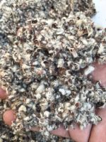cotton seed hull/raw cotton/cotton linter