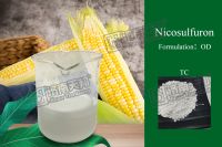 Herbicide Nicosulfuron