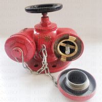 Sell Multi-purpose fire pump adapter Indoor Type used in building construction China Fujian Guangbo