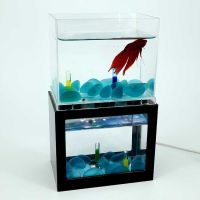 Sell Top Quality and Best Selling Decorative Aquarium, Clear Acrylic Fish Tank