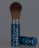 SH-D015 make up brushes