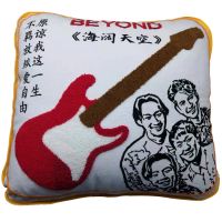CNL076 chenille sushions, chenille pillow, hoodies chenille patches, chenille embroidery