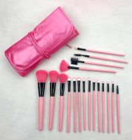 Pink Brush set, 18 pcs