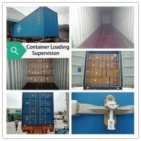 Container Loading Supervision (CLS)