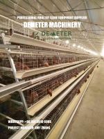 4-Tier A type layer chicken cage for poultry farm