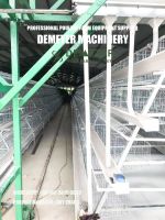 Chicken layer cages for sale in nigeria