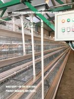 Battery Cage System Manufacturers & Supplier