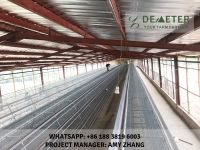 120pcs per set A type layer chicken cage, battery cage