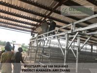 Affordable layer chicken cages in Kenya